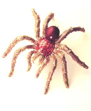 tarantula brooch